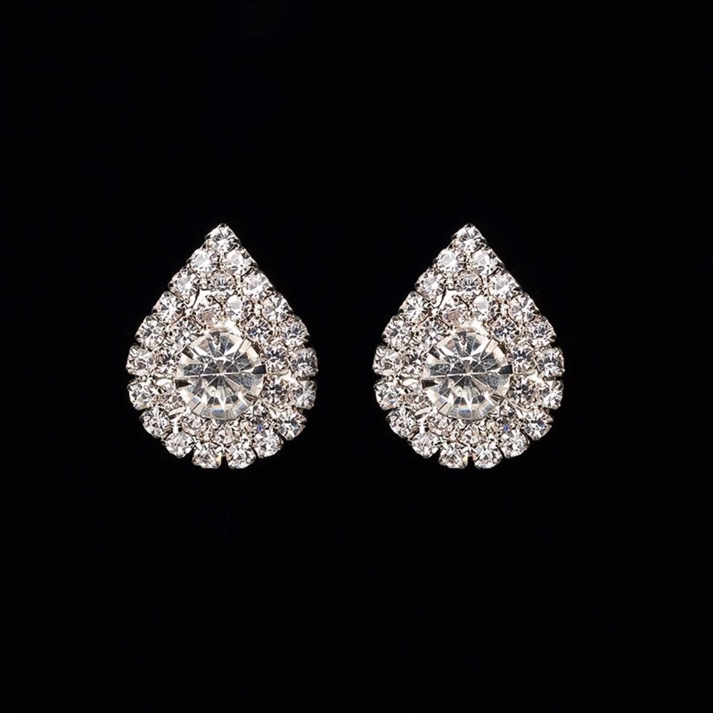 Sparkling Earrings
